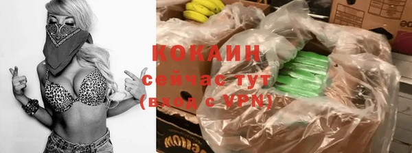 гидра Вязники