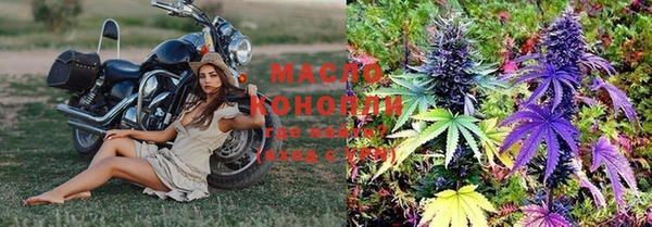 гидра Вязники