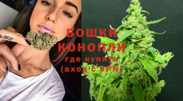 гидра Вязники
