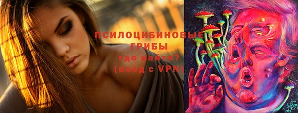 гидра Вязники